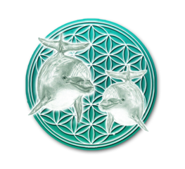 soullight designs